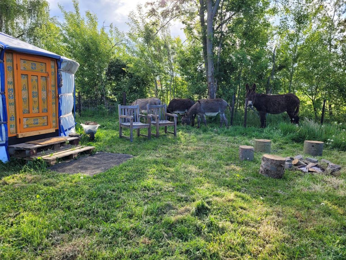 Slapen Tussen De Ezels In De Yurt 호텔 아라쇼트 외부 사진